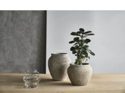 Loev Dekorationsglas -Heimdekoration 12442 env 2 2202 high