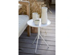 Zone Denmark Inu Tasse -Heimdekoration 13772 env 4 high