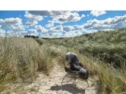 Svale Stuhl 23 Svale Stuhl -Heimdekoration 14308 env 4 high