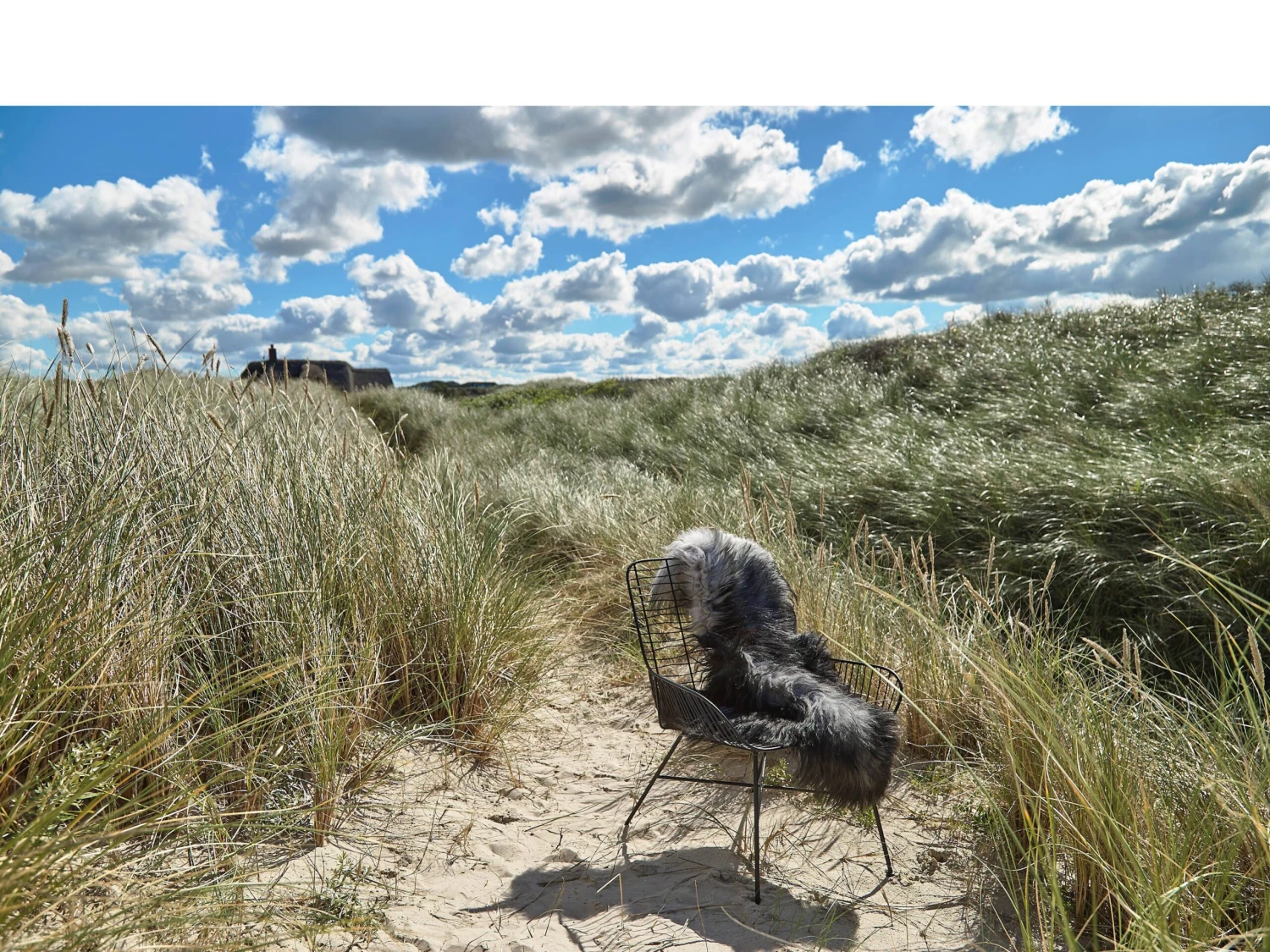 Svale Stuhl 10 Svale Stuhl – Bild 8