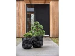 Vilda Übertopf Korbgeflecht 2 Stck. 16 Vilda Übertopf Korbgeflecht 2 Stck. -Heimdekoration 23845 env 5 2202 high