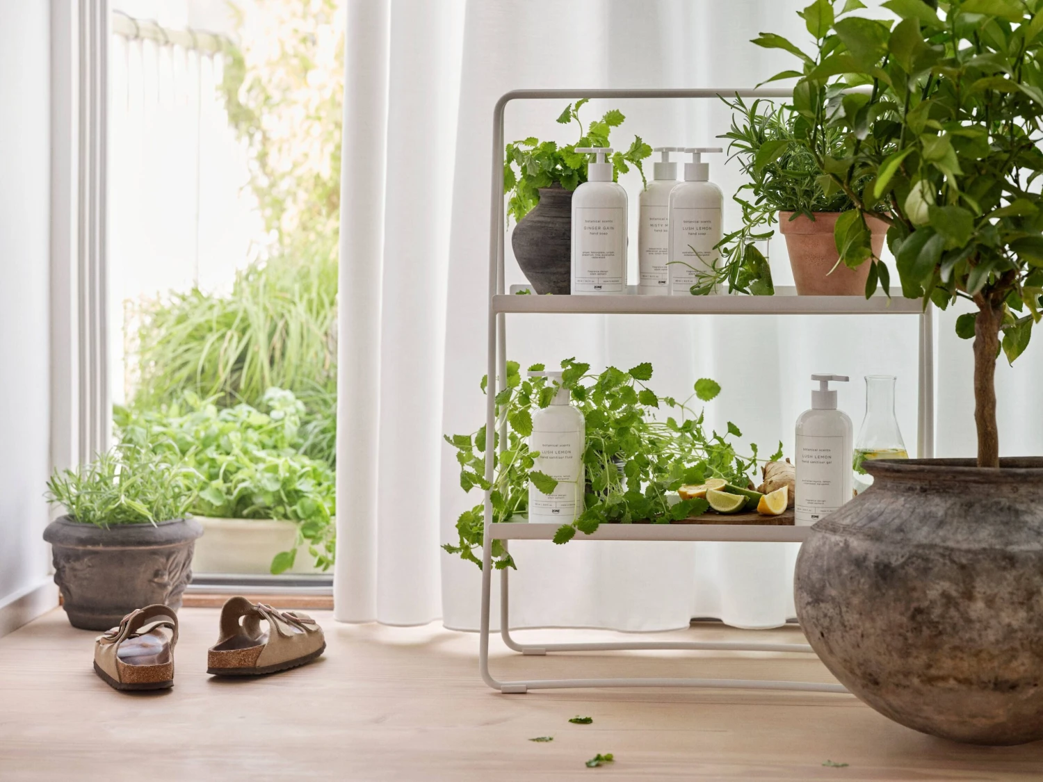 Zone Denmark Botanical Scents Handseife Ginger Gain 5 Zone Denmark Botanical Scents Handseife Ginger Gain – Bild 3