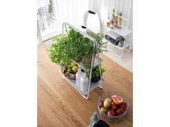 Zone Denmark Botanical Scents Geschirrspülmittel -Heimdekoration 23950 2201 env 5 high