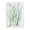 Grass Geschirrtuch -Heimdekoration 25111