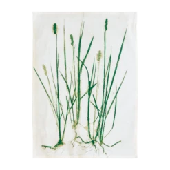 Grass Geschirrtuch