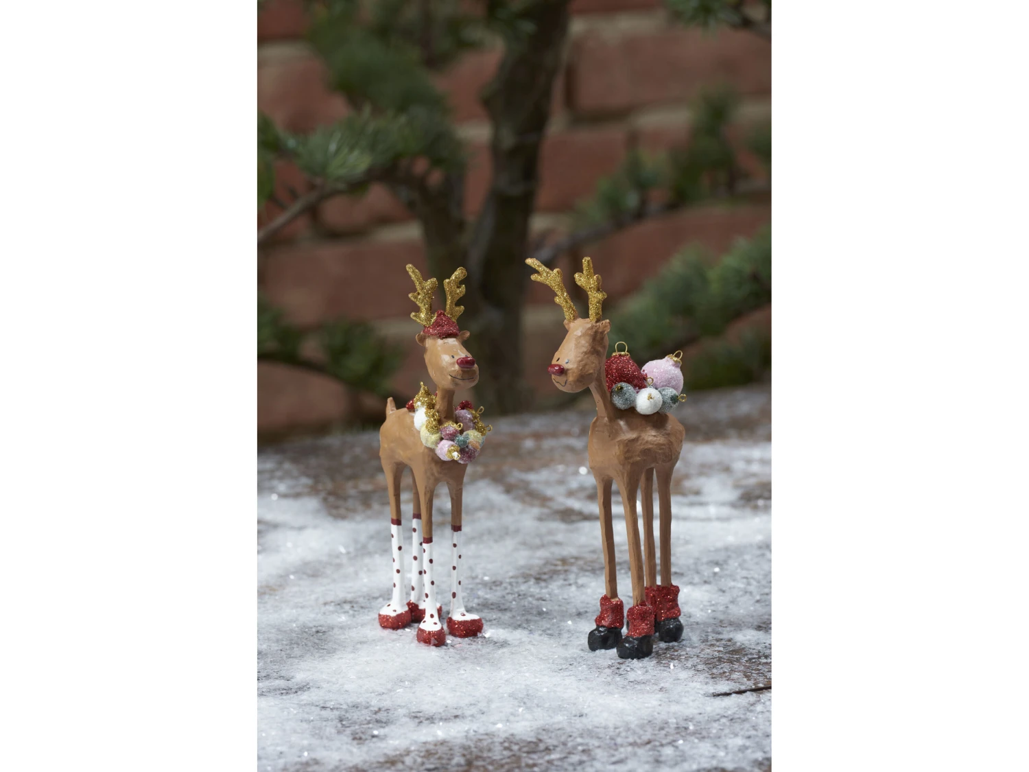 2022 Herr & Frau Rudolf 9 2022 Herr & Frau Rudolf – Bild 7