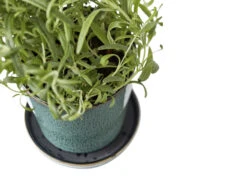 BITZ Übertopf -Heimdekoration 872760 detail high